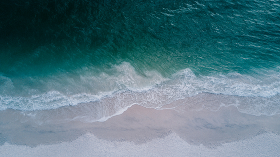 A Study in Color: Sherwin-Williams 2018 Color of the Year A Study in Color: Sherwin-Williams 2018 Color of the Year